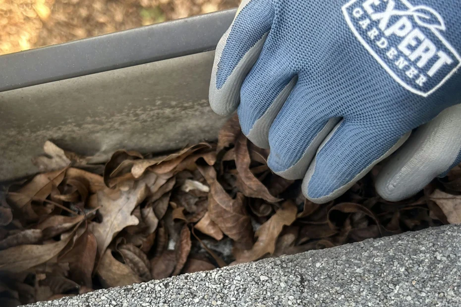 Gutter Cleaning Gulfport FL