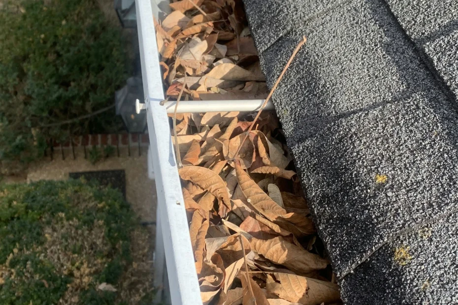 Gutter Cleaning Gulfport FL