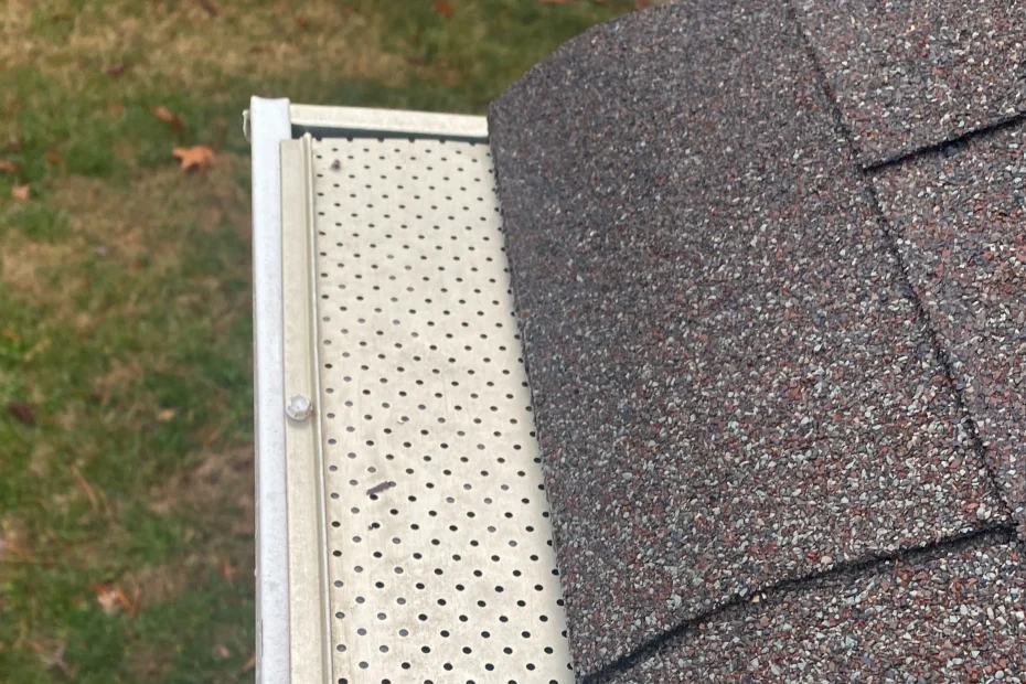 Gutter Cleaning Gulfport FL