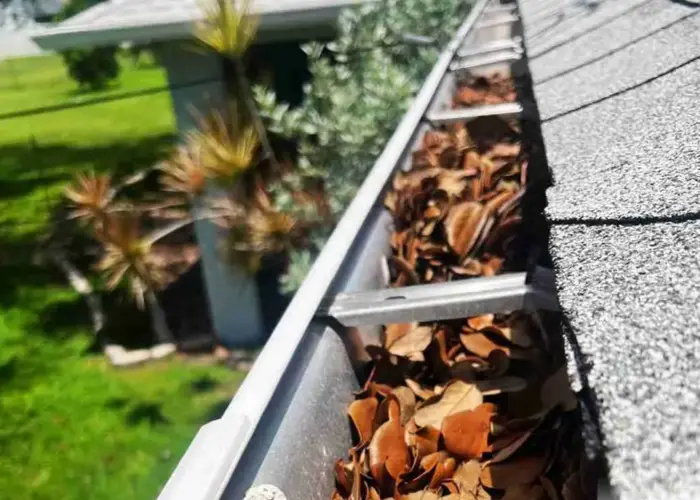 Gutter Cleaning Gulfport FL home page